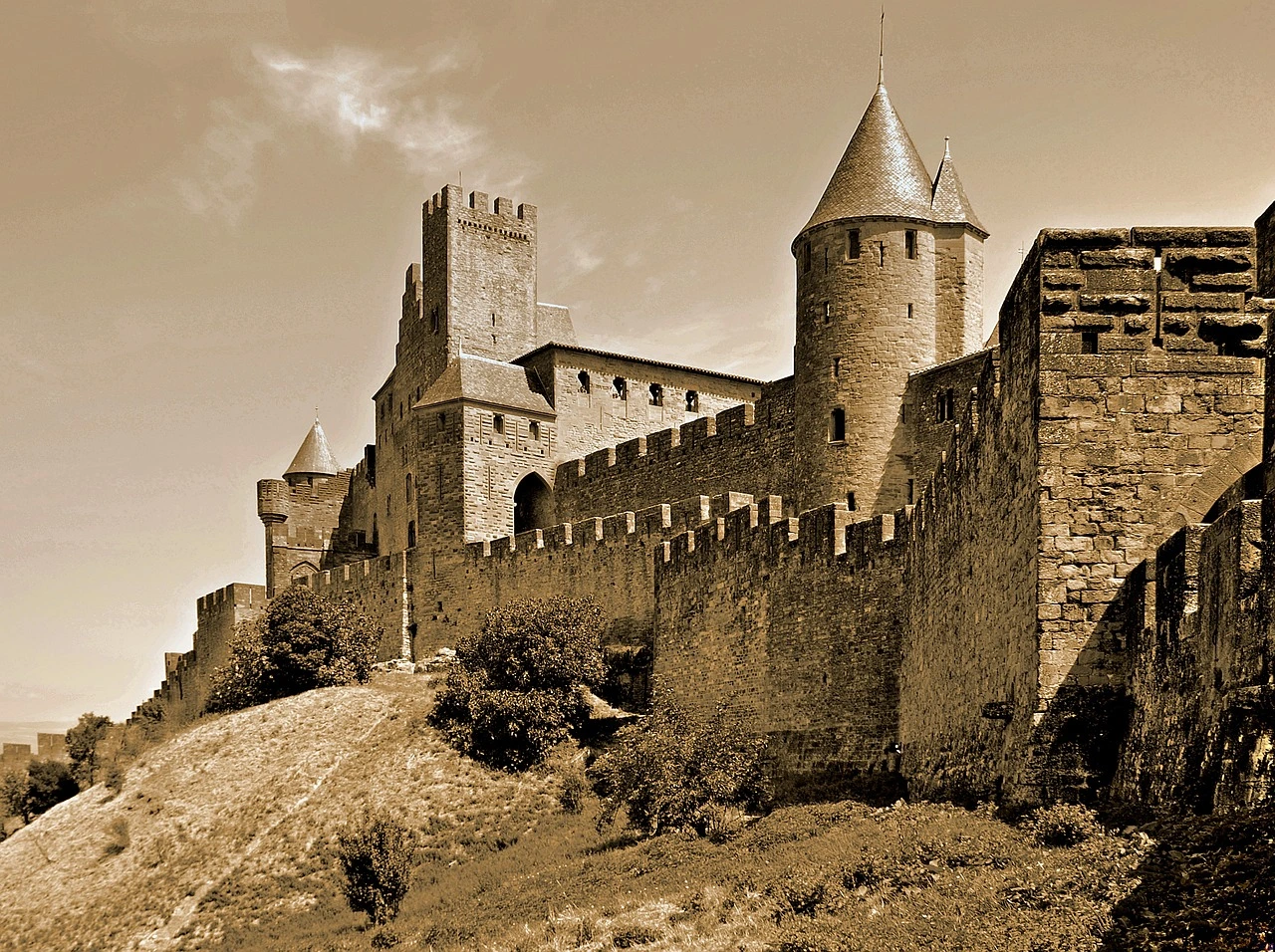 Malraux Carcassonne