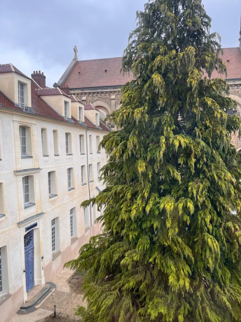 Vue depuis l’appartement sur le bâtiment adjacent et le grand sapin du site historique de Juilly